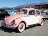 5-1-11-bug-in-36-123