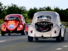 european_bug_in_2_2008_07_04_eos_150
