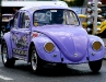 european_bug_in_2_2008_07_04_eos_153