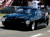 european_bug_in_2_2008_07_04_eos_267