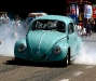 european_bug_in_2_2008_07_04_eos_270
