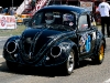 european_bug_in_2_2008_07_04_eos_284