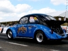 european_bug_in_2_2008_07_04_eos_293