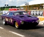 european_bug_in_2_2008_07_04_eos_308