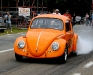 european_bug_in_2_2008_07_05_eos_057