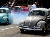 european_bug_in_2_2008_07_06_eos_006