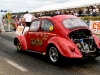european_bug_in_2_2008_07_06_eos_059
