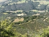 IMG_0410 (1)